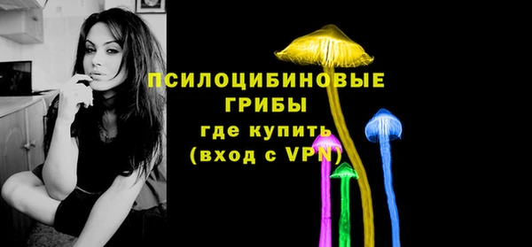 соль ск Михайловск