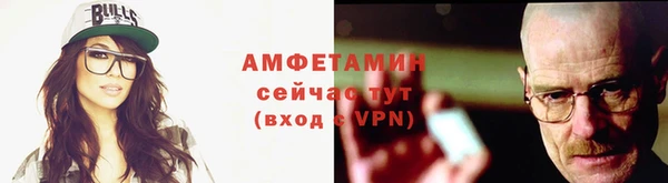 мдпв Михайлов