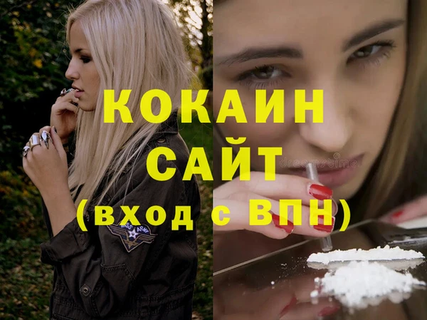 мдпв Михайлов
