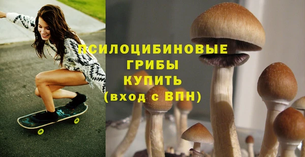 соль ск Михайловск