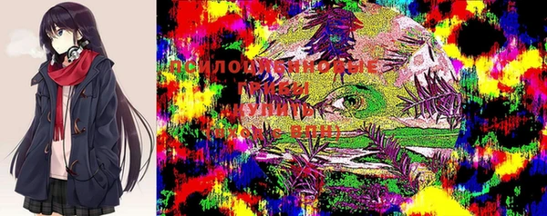 мдпв Михайлов