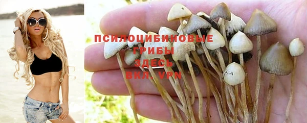 соль ск Михайловск